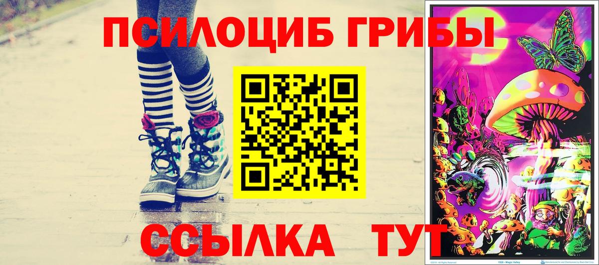 Галлюциногенные грибы прущие грибы  Галлюциногенные грибы GOLDEN TEACHER  Гагарин  Вход с VPN 